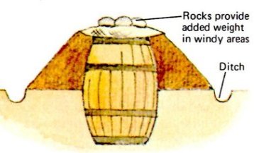 barrel root cellar