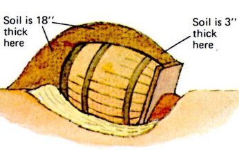 barrel root cellar
