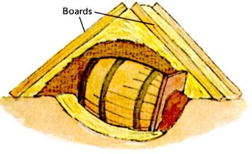 barrel root cellar