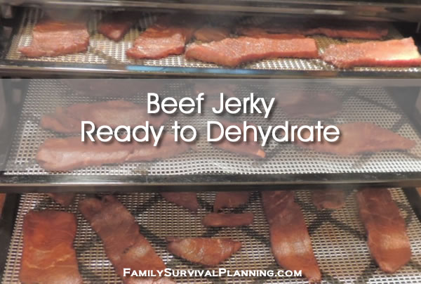 Food Preservation: Making Jerky